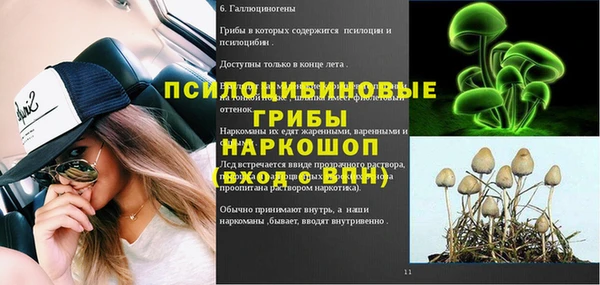 винт Аркадак